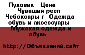 Пуховик › Цена ­ 400 - Чувашия респ., Чебоксары г. Одежда, обувь и аксессуары » Мужская одежда и обувь   